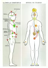 chakras