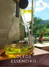 oleos